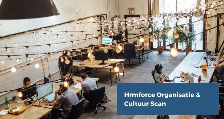 Organisatie Cultuur Scan