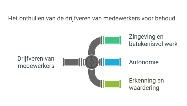 drijfveren-infographic